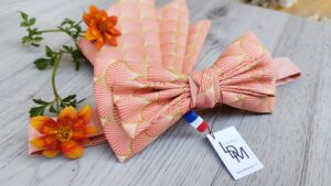 Noeud-papillon-rose-corail-orangé-homme-mariage-pochette-Aubagne-LDM-Createur